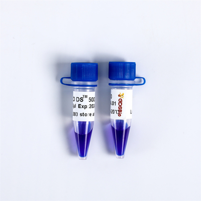 Barwnik kwasu nukleinowego LD DS 5000 Marker DNA Drabinka do elektroforezy LM111
