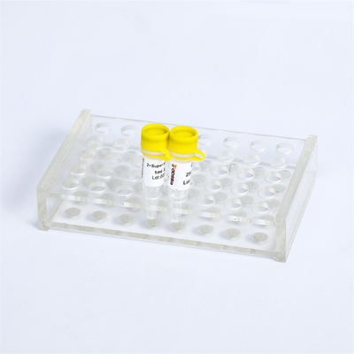 DNA Taq Polymerase Super HIFI PCR Master Mix P2111 P2112 P2113 Korekta Hotstart
