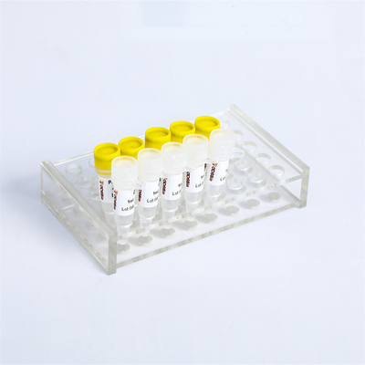 P2101 PCR Master Mix Kit 400 Rxn 20μL Reakcja