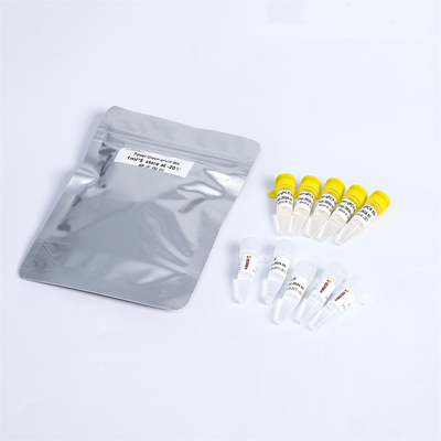 P2101 PCR Master Mix Kit 400 Rxn 20μL Reakcja