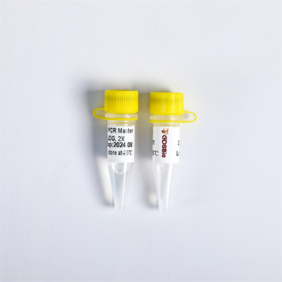 Bezbarwny PCR Master Mix z UDG GC Enhancer PM2001 PM2002 PM2003