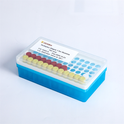 Adapter uniwersalny PCR Primery Multiplex Oligos 1 Do Illumina K002-A