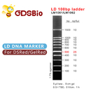 100bp Ladder Gel Electrophoresis DNA Marker 60 Preps