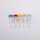 GDSBio Reverse Transcriptase PCR Reagents